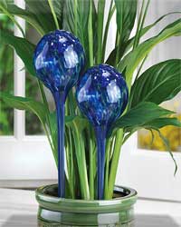 Plant Watering Globe Stakes