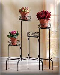 Four-Tier Plant Stand Screen