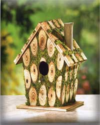Moss Edged Birdhouse