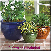 JEWEL TONE FLOWER POT TRIO