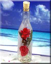 DOUBLE RED ROSES PLASTIC MESSAGE BOTTLE