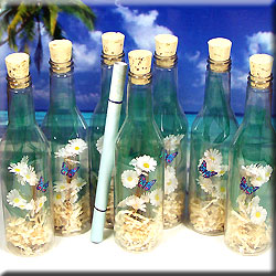 Message Bottle Invitation Springtime Daisies